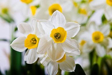 《生化危机9》或将延期发布 需要更多时间完善